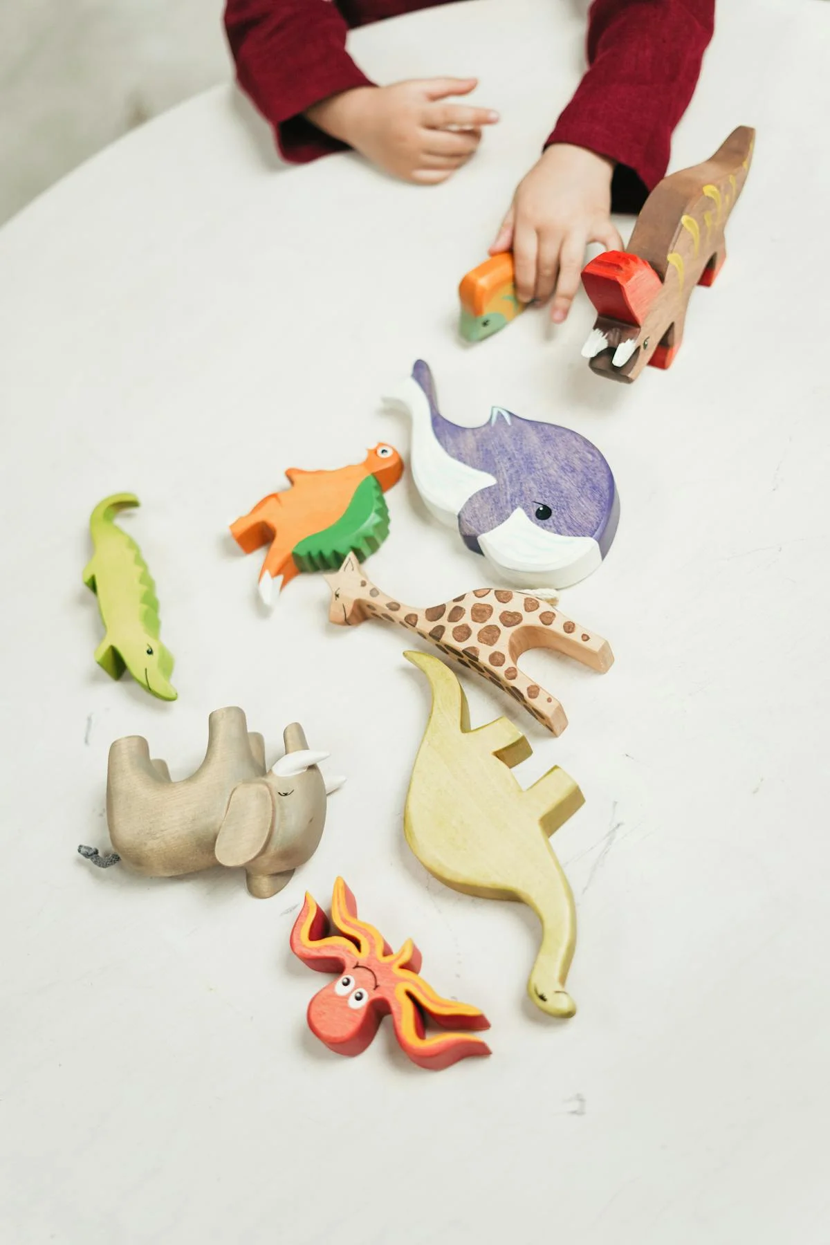 Animal Sound Safari